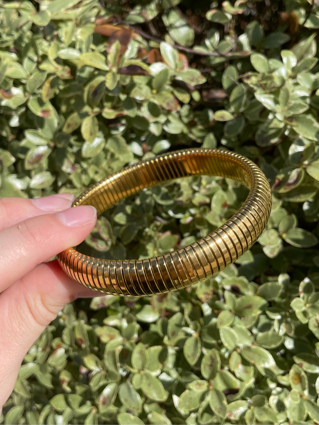 SERPENT